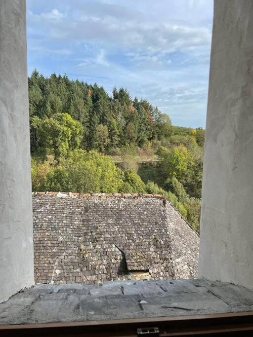 Maison De Village Avec Vue 4/5 Personnes Lou Rouchou Voutezac Exterior photo